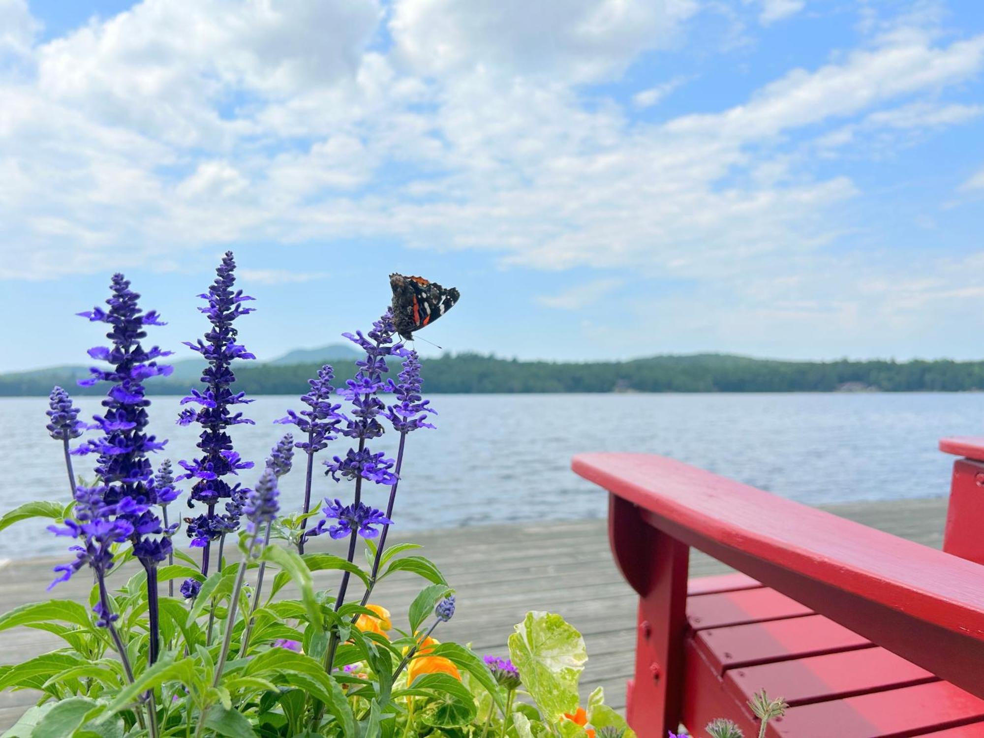 Lodge Paddler's Rest Lakeside And